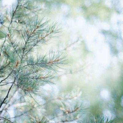 yabo网页版手机版截图